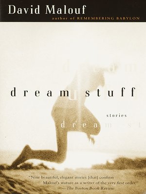 cover image of Dream Stuff